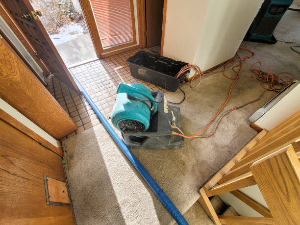 Best Water damage restoration near me  in Dewitt, AR