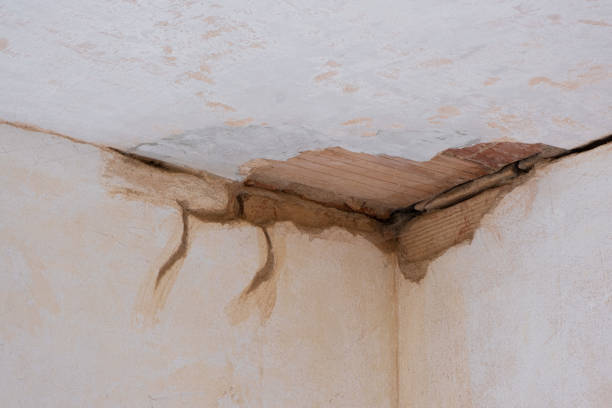 Best Commercial water damage restoration  in Dewitt, AR