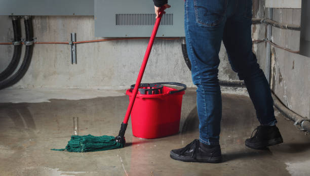 Best Carpet water damage restoration  in Dewitt, AR