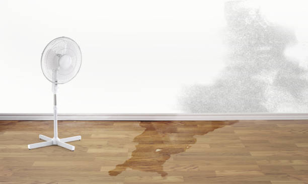 Best Ceiling water damage repair  in Dewitt, AR