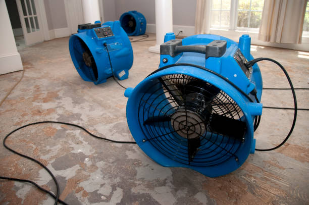 Best Water damage restoration specialists  in Dewitt, AR