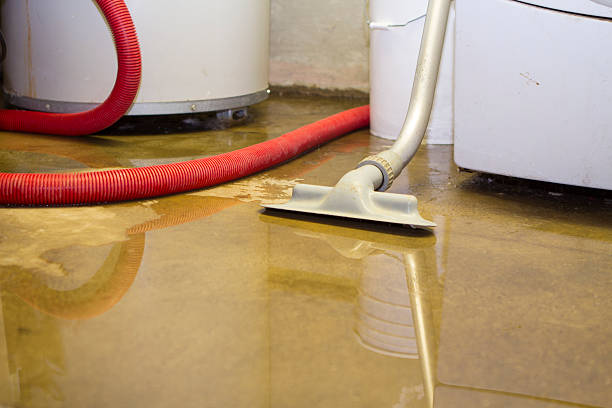 Best Water damage restoration mold remediation  in Dewitt, AR