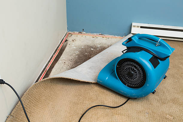 Best Flood damage cleanup  in Dewitt, AR